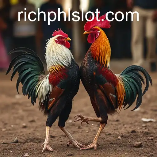 The Controversy and Cultural Significance of Cockfighting